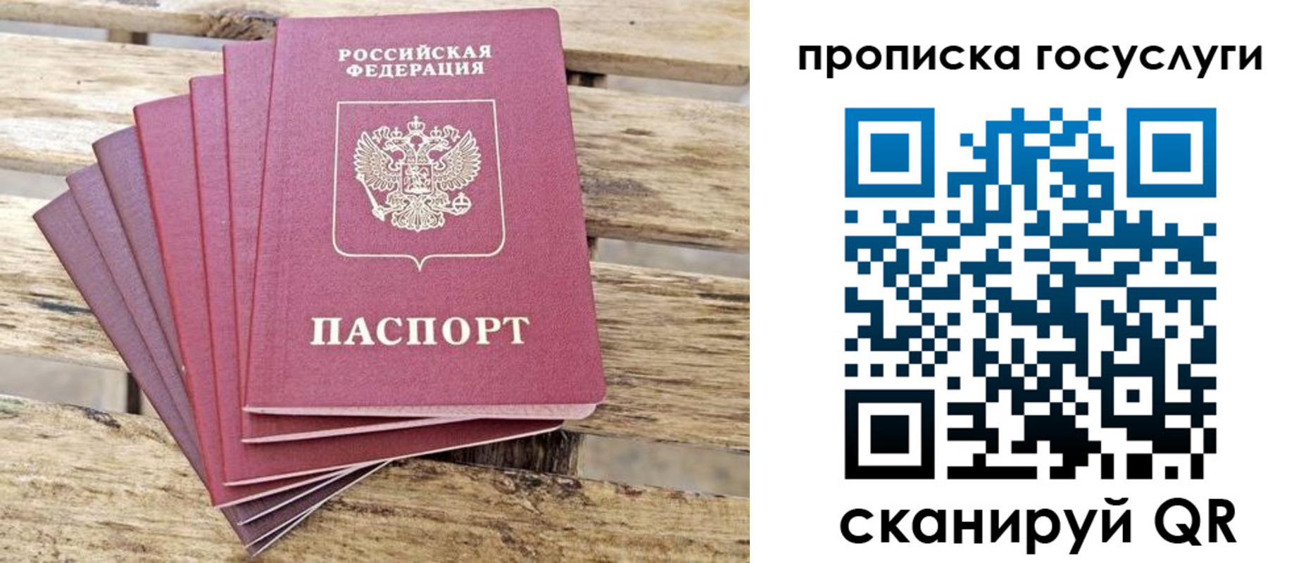 временная регистрация госуслуги в Александрове